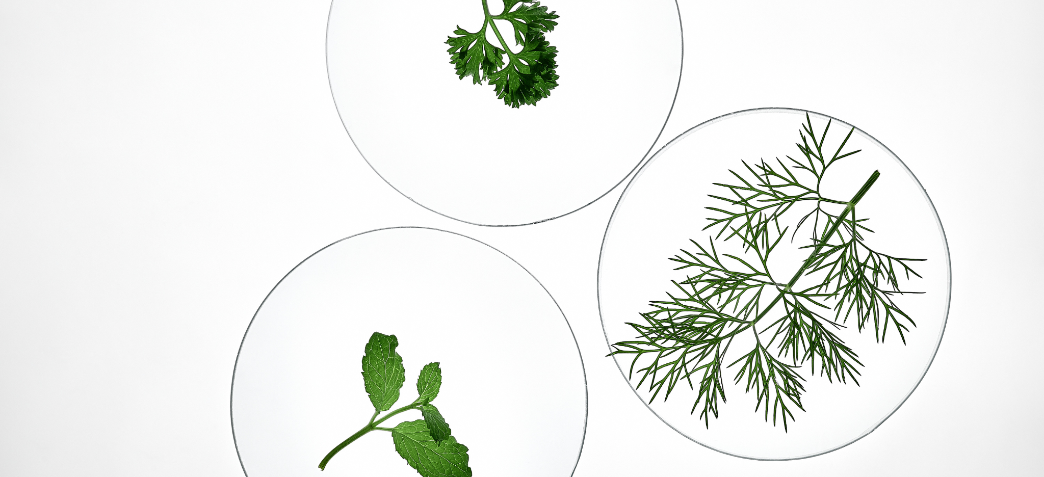 What makes ATAK STUDIOS formulas stand out?